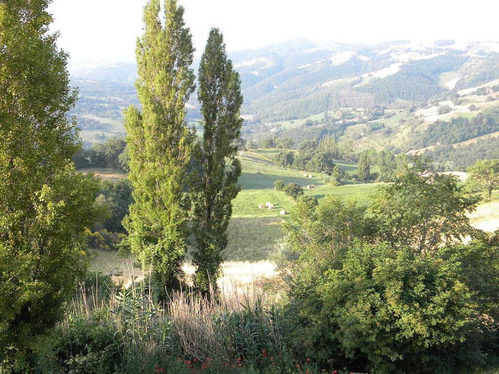 Agriturismo Borgo San Benedetto Villa Pietralunga  Exterior photo